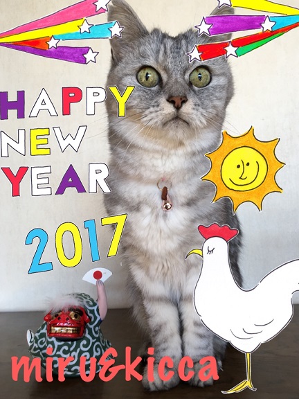 謹賀新年’2017　元旦の猫