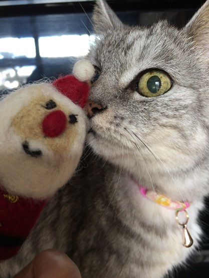 猫とサンタの指人形　もうクリスマスだ！